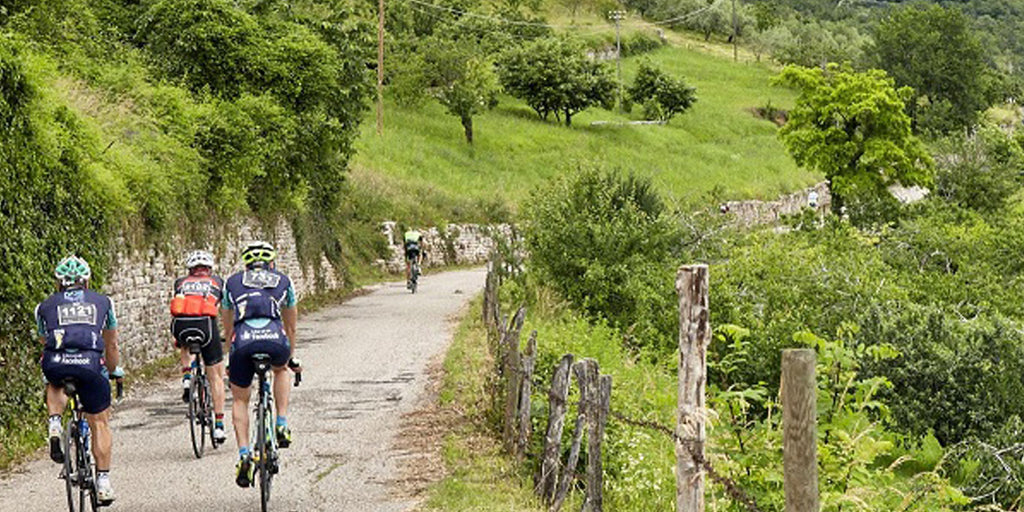 Alé La Merckx Granfondo, Verona